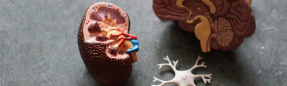 Masterclass om demensdiagnostik